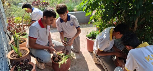 world environment day