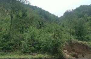 पहली ही बरसात में स्योरा जाडली मार्ग में पहाड़ी से आ रहा भारी मलवा Syora Jadli road