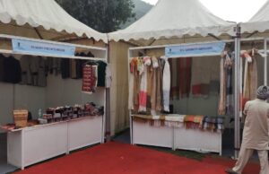 M.S.M.E मंत्रालय की P.M.S योजना के तहत मंडी में पांच दिवसीय प्रदर्शनी व व्यापार मेला fair in Mandi