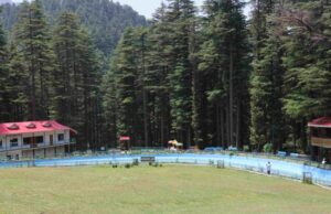 देवदार के घने जंगल में देवीदढ़ का खुला मैदान बना पर्यटकों के आकर्षण का केंद्र Devidarh's
