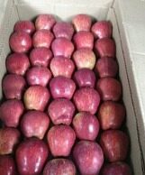 सेब उत्पादकों के लिए राहत की खबर, मोदी सरकार का ऐतिहासिक निर्णय Modi government's