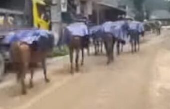 मंडी जिले के आपदा प्रभावित परिवारों को 1317 खाद्य सामग्री किट वितरित Mandi district