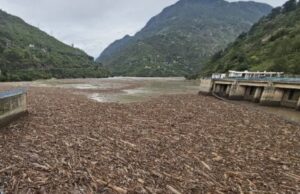 बादल फटने की घटना के बाद पंडोह डैम में एकत्रित वन लकड़ियों की जांच करेगी CID Pandoh Dam