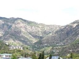 नौणी विवि के वैज्ञानिक 9 और 10 जुलाई को शिमला जिले के सेब बगीचों का करेंगे दौरा apple orchards