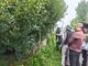 नौणी विश्वविद्यालय के वैज्ञानिकों ने सेब किसानों को रोग प्रबंधन पर दी सलाह apple farmers