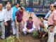 प्रदेश भर में एक लाख पौधे रोपित करेंगे भाजपा: डॉ बिंदल #RajeevBindal