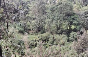 33 केवी पंडोह-गोहर विद्युत लाइन बहाली का कार्य युद्धस्तर पर जारी #PandohGoharLine