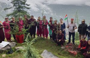 स्वतंत्रता दिवस पर कुल्लू के पीज में रोपे देवदार के पौधे #TreePlantation