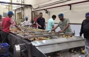 बागवानी मंत्री ने एम.पी.एम.सी. परवाणू संयंत्र का किया निरीक्षण #HPMCParwanoo