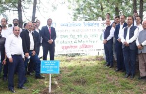 SJVN ने एक पेड़ मां के नाम अभियान के तहत शिमला में पौधारोपण अभियान का आयोजन किया SJVN Tree Plantation