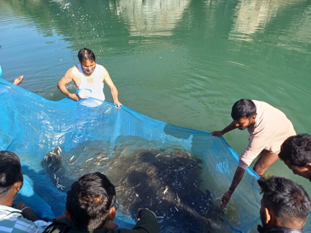Beas Nadi Fish Seed Release