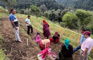 लहसुन वितरण एवं प्रदर्शन कार्यक्रम आयोजित Lahsun Vitaran Gohar