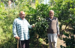 एचपी शिवा परियोजना ने बदली धर्मपुर क्षेत्र के 41 किसानों की तकदीर* HP Shiva Yojana 2025