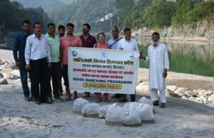 मंडी जिला की नदियों में 1.33 लाख मत्स्य अंगुलिकाओं का संचयन Matsya Sampada Yojana Himachal