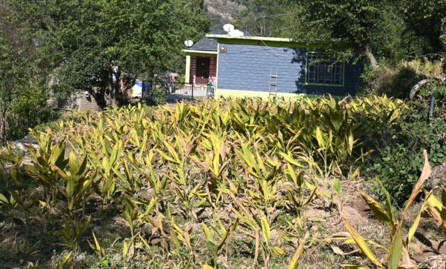 Natural Farming Himachal
