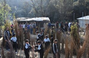 नौणी विश्वविद्यालय 15 दिसंबर से आयोजित करेगा पौधों की वार्षिक बिक्री Nauni University plant sale