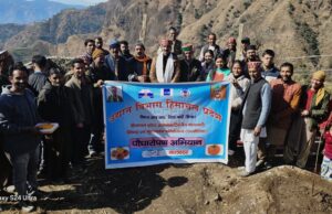 एचपी-शिवा परियोजना के तहत बांधी क्लस्टर में जापानी फल पौधारोपण अभियान शुरू HP SHIVA Project Mandi