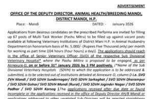 मंडी जिले में पशु मित्र के 67 पदों के लिए आवेदन आमंत्रित Mandi Pashu Mitra Bharti