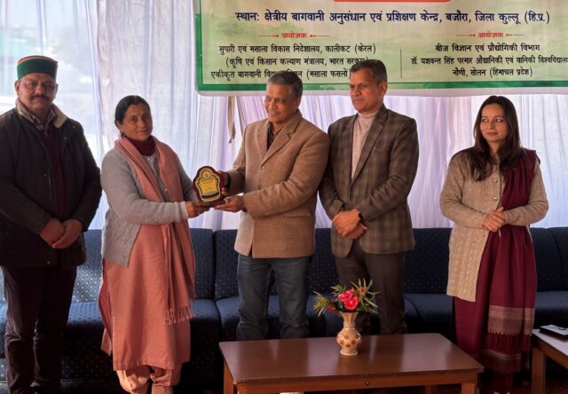 Lahsun ki Vyavsayik Kheti Kullu,