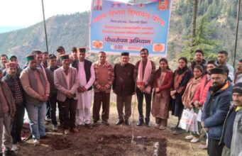 पराशर घाटी के बम्बोला क्लस्टर में 13 हेक्टेयर में रोपित होंगे जापानी फल के 8500 पौधे Rashar Ghati Japanese fruit plantation