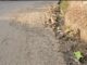 बसाल रोड पर मलबा फेंकने वालों के खिलाफ कानूनी कार्रवाई की तैयारी Basal Road Solan