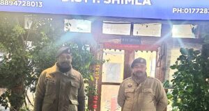 शिमला: बालूगंज पुलिस ने तीन दिन में सुलझाई चोरी, आरोपी गिरफ्तार