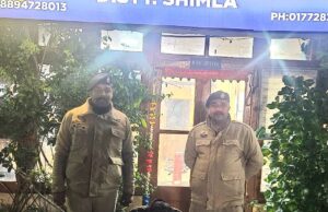 शिमला: बालूगंज पुलिस ने तीन दिन में सुलझाई चोरी, आरोपी गिरफ्तार
