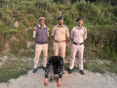 शिमला पुलिस को बड़ी सफलता: 5 किलो 652 ग्राम चरस बरामद, एक तस्कर गिरफ्तार