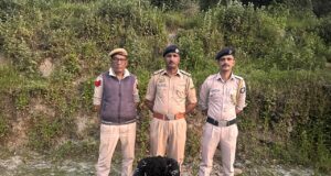 शिमला पुलिस को बड़ी सफलता: 5 किलो 652 ग्राम चरस बरामद, एक तस्कर गिरफ्तार