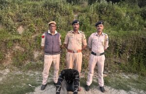 शिमला पुलिस को बड़ी सफलता: 5 किलो 652 ग्राम चरस बरामद, एक तस्कर गिरफ्तार