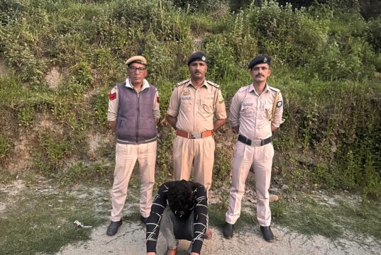 शिमला पुलिस को बड़ी सफलता: 5 किलो 652 ग्राम चरस बरामद, एक तस्कर गिरफ्तार