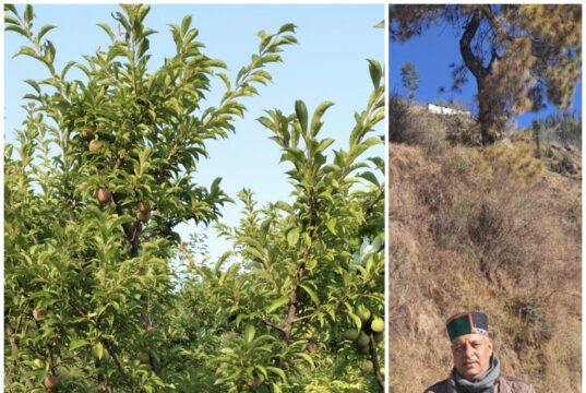 ब्रिखमणी पंचायत के जीवन कौशल ने लिखी सफलता की नई कहानी
