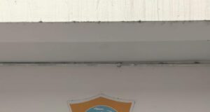 शिमला पुलिस का बड़ा एक्शन: आदतन नशा तस्कर PIT-NDPS एक्ट के तहत निरुद्ध