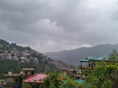 हिमाचल में प्री-मानसून का कहर: बारिश, ओले व अंधड़ से जनजीवन अस्त-व्यस्त, 5 जिलों के लिए ऑरेंज अलर्ट