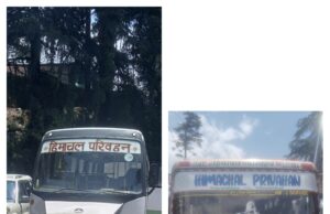 शिमला में दो बसों के खराब होने से यातायात प्रभावित, जल्द हुआ बहाल