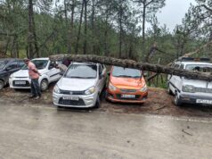 चामियाना रोड पर सूखा पेड़ गिरा, चार वाहन क्षतिग्रस्त, कोई हताहत नहीं