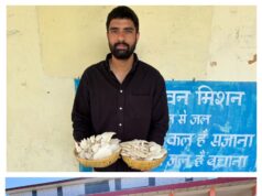 राजकीय वरिष्ठ माध्यमिक विद्यालय कदौर में ऑयस्टर (ढिंगरी) मशरूम उत्पादन की अभिनव पहल, विद्यार्थियों को मिल रहा व्यावहारिक कृषि प्रशिक्षण