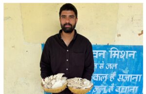 राजकीय वरिष्ठ माध्यमिक विद्यालय कदौर में ऑयस्टर (ढिंगरी) मशरूम उत्पादन की अभिनव पहल, विद्यार्थियों को मिल रहा व्यावहारिक कृषि प्रशिक्षण