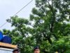 शिमला पुलिस की बड़ी कार्रवाई: नेरवा में कोडीन सिरप की खेप बरामद, एक युवक गिरफ्तार, किशोर भी संलिप्त