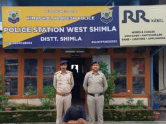 शिमला पुलिस ने 7 वर्षों से फरार उद्घोषित अपराधी को किया गिरफ्तार