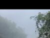 हिमाचल प्रदेश में मानसून की तबाही: 259 सड़कें बंद, 161 ट्रांसफार्मर प्रभावित