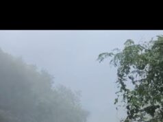 हिमाचल प्रदेश में मानसून की तबाही: 259 सड़कें बंद, 161 ट्रांसफार्मर प्रभावित