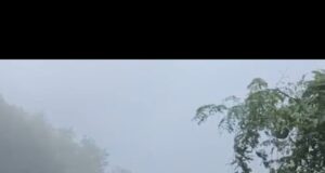 हिमाचल प्रदेश में मानसून की तबाही: 259 सड़कें बंद, 161 ट्रांसफार्मर प्रभावित
