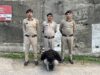 शिमला पुलिस ने 78 ग्राम अफीम के साथ युवक को किया गिरफ्तार