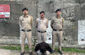 शिमला पुलिस ने 78 ग्राम अफीम के साथ युवक को किया गिरफ्तार