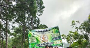 ग्लोबल वार्मिंग के खिलाफ जंग: सिस्टर एनजीओ ने क्वारग पंचायत में रोपे 150 देवदार व बान के पौधे