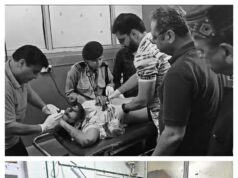 200 फुट गहरी खाई में गिरी कार, भाजपा प्रदेशाध्यक्ष डॉ. राजीव बिंदल ने घायल को अपनी गाड़ी से पहुंचाया अस्पताल