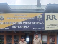 शिमला पुलिस को ठियोग में मिली बड़ी सफलता, 7.33 ग्राम हेरोइन बरामद
