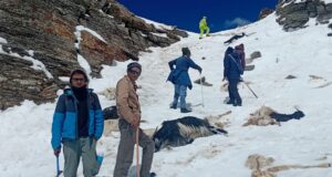 प्रतिकूल मौसम में पुलिस टीम का सफल रेस्क्यू अभियान, फंसे चरवाहे और हजारों भेड़-बकरियां सुरक्षित निकाले गए
