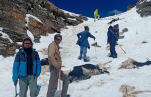 प्रतिकूल मौसम में पुलिस टीम का सफल रेस्क्यू अभियान, फंसे चरवाहे और हजारों भेड़-बकरियां सुरक्षित निकाले गए
